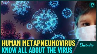 HMPV Virus Explained: Symptoms, Spread, and Global Concerns - What You Need to Know