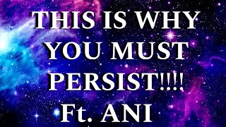 THIS IS WHY YOU MUST PERSIST !!! FT  ANI