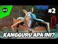 Melawan Kangguru Monster - Part 2