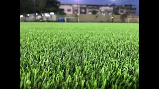 New 2025 Taishan Turf