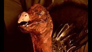 No Thanks Given (EAS Mini Thanksgiving Special)