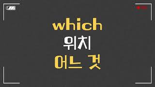 하루 1개 영어단어 외우기 which / 어느 것 (초등 기초)