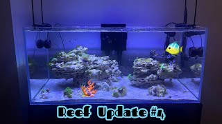 Landen 100P Reef Aquarium Update 4 | Only up from here 💯