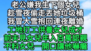 老公嫌我生下個女兒，趁雪夜偷走丟她垃圾桶，我冒大雪抱回連夜離婚，工地打工供養女兒成才，前夫見女兒年入百萬上門認親，不料女兒一開口讓他嚇癱 | 晚風書坊