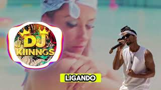 👑 DJ KINGS -  SURRA DE TOMA TOMA - O ATROPELO