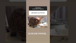 210127 요섭 인스타스토리 무물 9