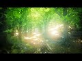 Piano Music for Relaxation | Piano Music | Relaxing Music | Sleeping, Study, Yoga, Spa, Zen