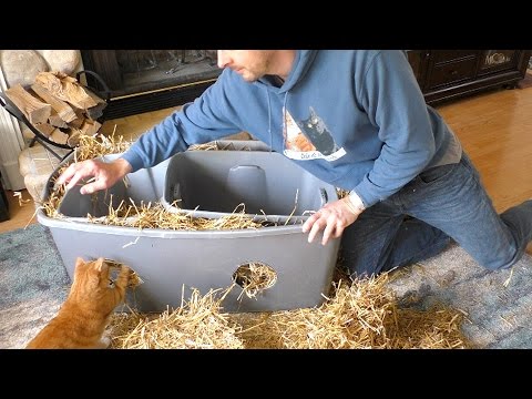 DIY Outdoor Cat Shelter DIY Outdoor Cat Shelter