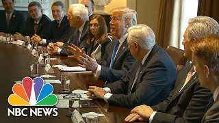 Lawmakers Laugh Off President Donald Trump’s Suggestion Of Reviving Earmarks | NBC News