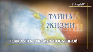 Тонкая настройка Вселенной | Тайна жизни