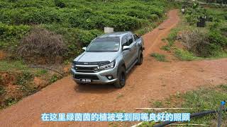 大疆御二与猫山王榴莲之世纪恋情@ DJI Mavic Air 2 # Musang King Durian Plantation#