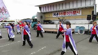 いわきYOSAKOI粋座舞嵐よさこい踊り　かしまふれ愛さくら祭り