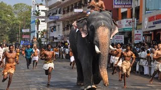 Annual Elephant Racing in India