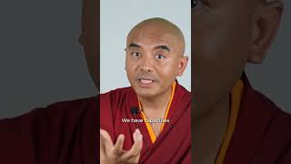 Growing from Failure with Mingyur Rinpoche