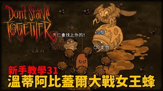 【別挨餓】溫蒂阿比蓋爾大戰女王蜂 新手教學31 【Don't Starve Together】