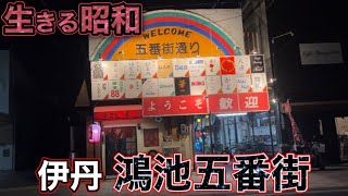 【生きる昭和】伊丹市の夜に輝く地「鴻池五番街」深夜に行ったら別世界だった