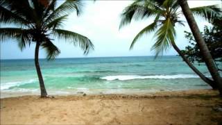 Pure Grenada