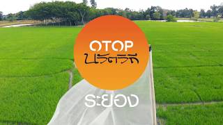 ระยอง l ชุมชนท่องเที่ยว OTOP นวัตวิถี l บ้านไผ่ อ.บ้านค่าย