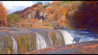 吹割の滝（東洋のナイアガラ）- 群馬県沼田市 | Fukiware-falls, Numata-city, Gunma, Japan【4K / ASMR】