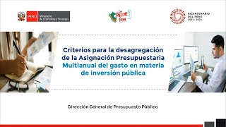 Criterios para la desagregación de la Asignación Presupuestaria Multianual en gastos de inversión