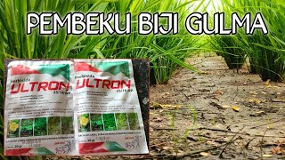 PEMBEKU BIJI | Herbisida Ultron | Atasi Gulma Sejak Belum Tumbuh