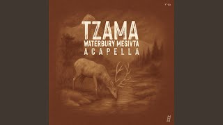 Tzama (feat. EKEV) (Acapella)