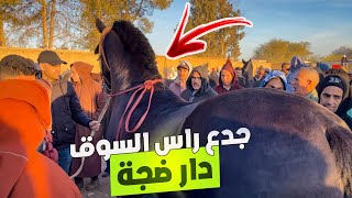 🚨اخر سوق الخميسات قبل شهر رمضان الكريم ذخلات سلالة نادرة عشقها الجميع ✅