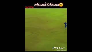 වනියා දෙන ආතල්  ❤️ ( වනී බෝයි) ❤️ Wanindu Hasaranga Funny Moment❤️✔️