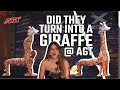 Did the man turn into a dog and Giraffe @ AGT #foryou #NBC #AGT #americasgottalent #viralvideo #like