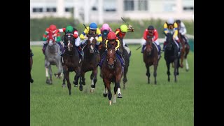 枠連投資馬券塾　優駿牝馬（オークス）２０２４　#出走馬ジャッジ　#枠出目馬番出目　#オークス予想