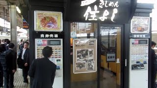 Beer \u0026 Noodles at a Train Station in Japan!