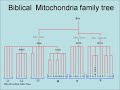 dna and babel and human migration