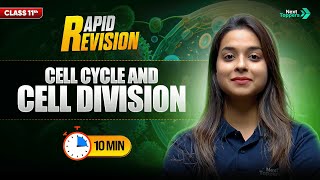 Cell Cycle and Cell Division | CBSE Class 11 Biology Rapid Revision | Full Chapter in 🔟 Mins