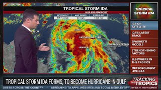 Tropical Storm Ida: Hurricane Hunters find depression strengthened to storm, northern Gulf Coast in