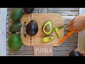 Puebla avocado: a profile