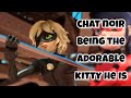 Chat Noir being the ADORABLE KITTY he is🐱🐈‍⬛