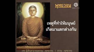 เหตุที่ทำให้มนุษย์เกิดมาแตกต่างกัน #คำสอนของพระพุทธเจ้า - พุทธวจน