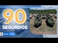 #PlanDemocracia2022 un éxito de la Fuerza Pública frente a las elecciones presidenciales