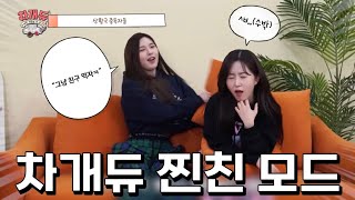 만나기만 하면 투닥거리는 차개듀 모음집ㅋㅋ