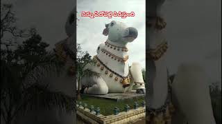 మనసు శాంతి కోసం ఏమిచేయాలి