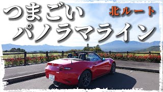 つまごいパノラマライン [愛妻の丘～北ルート]　ロードスター、車載動画