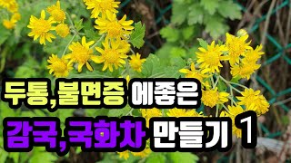 두통 감기 불면증에 좋은 감국국화차만들기 #선엽스님#수제약차#마음정원