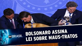 Bolsonaro sanciona lei que aumenta pena para maus-tratos a cães e gatos | SBT Brasil (29/09/20)