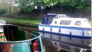 Oh Dear A lost Deer at Aspley Marina on the Huddersfield Broad canal. 8 May 2015