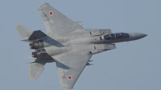 新田原基地航空祭2019 F-15 第305飛行隊 機動飛行 JASDF Nyutabaru Air Show