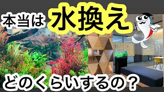 【水換え量の目安】いろいろな水槽を見ながら実際の水槽掃除内容を解説