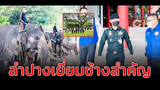 ลำปาง ตรวจเยี่ยมช้างสำคัญ ขอตั้งมั่นด้วยความจงรักภักดี