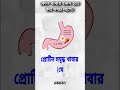 কোন খাবার হজম হতে কত সময় লাগে youtubeshorts health