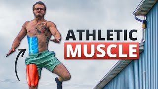 The Best Exercise To Build Athletic Muscle