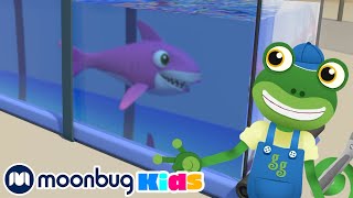 Baby Truck Vs Baby Shark | Cartoons & Kids Songs | Moonbug Kids - Nursery Rhymes for Babies